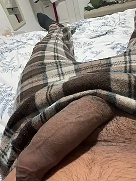 Pollitotex22cm online show from 01.16.26