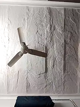 shalini fire online show from 01.11.25