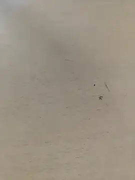 Snapshot of shale26 chatting on 09.28.25 shale26 online show from 09.28.25