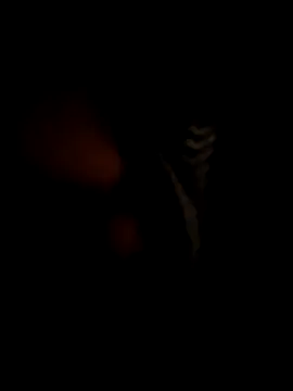 RMP05 online show from 12.21.24