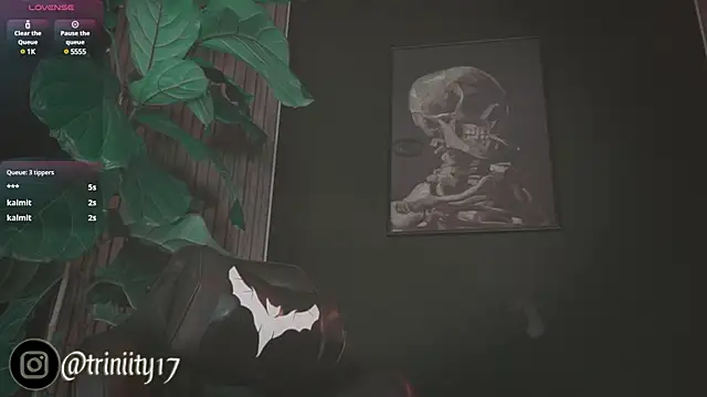 Trinity   s online show from 01.01.25