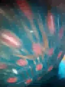 Ruby Sc online show from 12.08.24