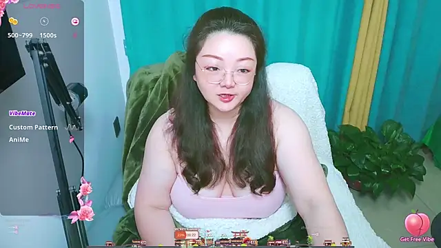 Snapshot of Weiwei5200 chatting on 04.11.26 Weiwei5200 online show from 04.11.26