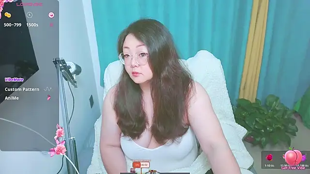 Snapshot of Weiwei5200 chatting on 04.11.26 Weiwei5200 online show from 04.11.26