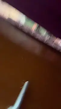 nick  yy online show from 02.19.26