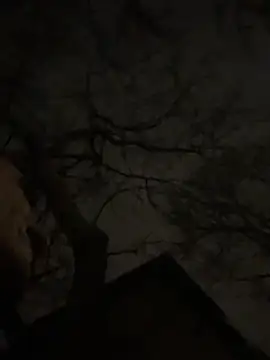 -yakimov- online show from 01.31.26