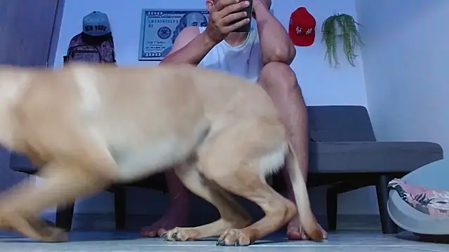 boss of cash online show from 04.02.26