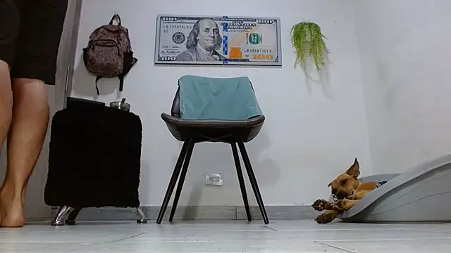 boss of cash online show from 06.04.26