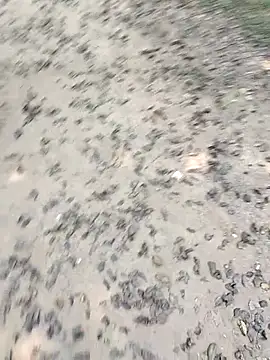 chootkapyasa007 online show from 10.22.25