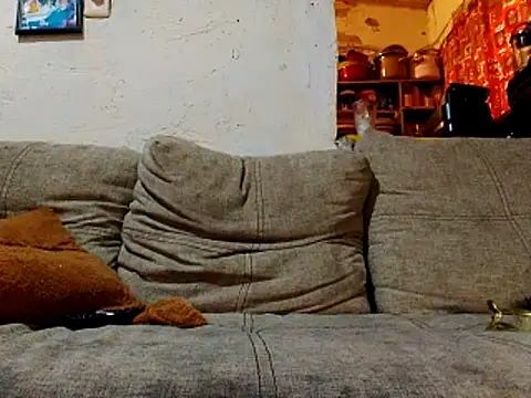 NewBe9D9 online show from 11.23.25