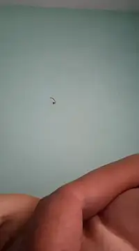 Snapshot of alexjs84 chatting on 12.16.24 alexjs84 online show from 12.16.24