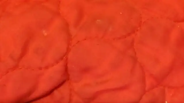 Huntzg23 online show from 11.28.25