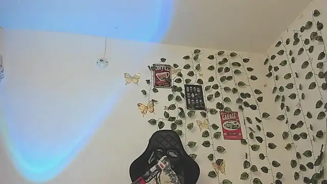 skinny dann online show from 02.19.25