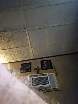 zaneporter46 online show from 06.29.26