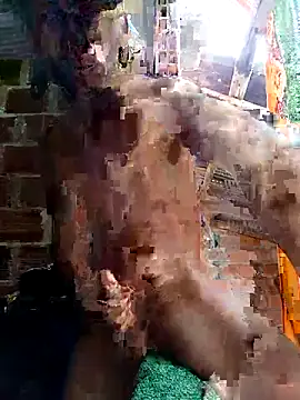 Andres123cv online show from 04.15.26