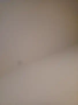 lizzzziee online show from 02.26.26