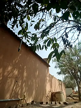 carria homes online show from 03.14.25