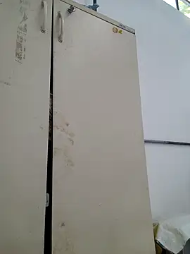 tesaodaweb online show from 02.21.26