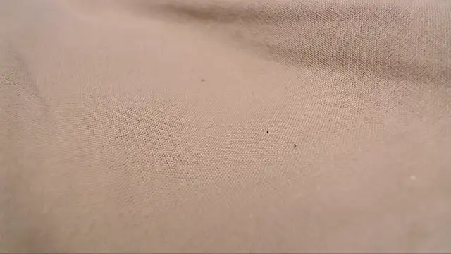 Snapshot of Lona-s chatting on 04.08.26 Lona-s online show from 04.08.26