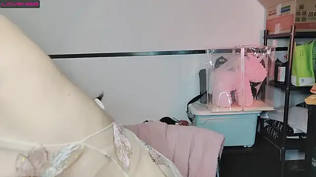 diandian-866 online show from 02.20.25