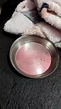 Whitehouse01 online show from 01.13.25