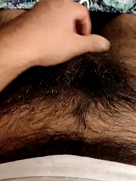 pitorico bb online show from 03.12.25