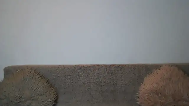 AshlineKatte online show from 02.09.26