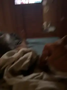 ferdi190 online show from 10.11.25