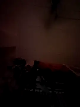 opkiller901 online show from 01.12.25