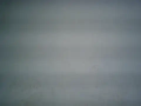 michel1520 online show from 07.02.26