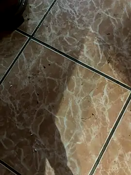 Lilymoonshow online show from 09.18.25