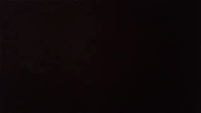 zoltard 1911 online show from 02.06.26