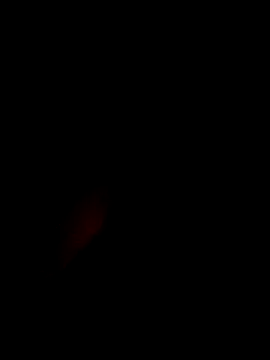 Snapshot of xxxxGuruxxxx chatting on 03.10.25 xxxxGuruxxxx online show from 03.10.25