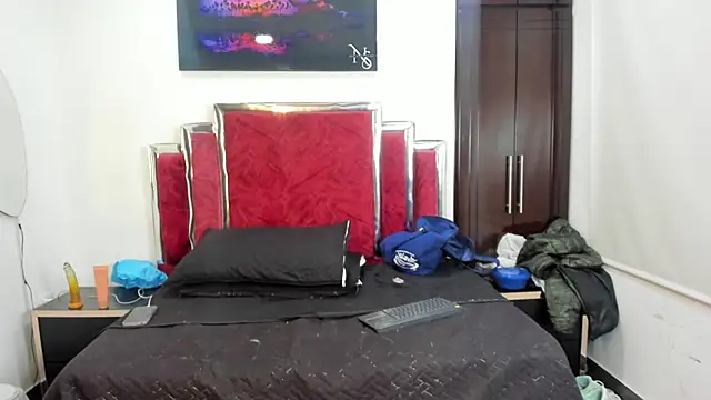 Snapshot of Hamish_phillips chatting on 01.24.25 Hamish phillips online show from 01.24.25