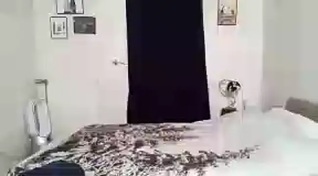 alexandrezeke online show from 02.27.25