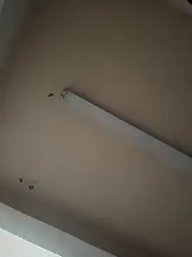 boyvergon online show from 01.17.25