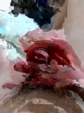 pussyhoneyhot online show from 02.19.26