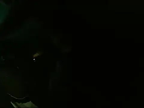 Snapshot of Lliam_2 chatting on 01.20.25 Lliam 2 online show from 01.20.25