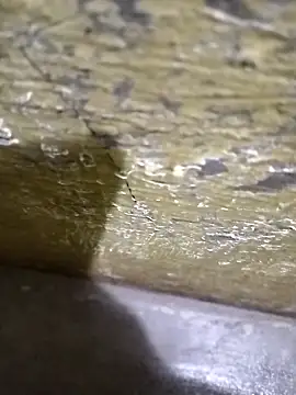 Southindian6996 online show from 02.26.25