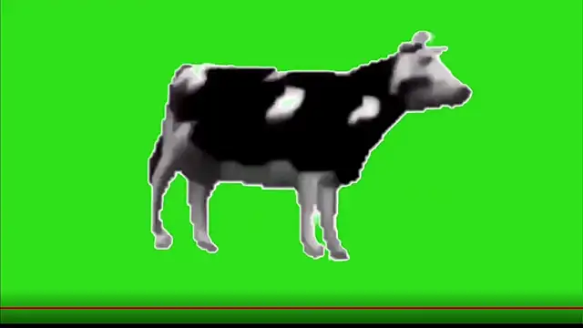 Snapshot of test_FramedTishri_m chatting on 05.13.26 test FramedTishri m online show from 05.13.26
