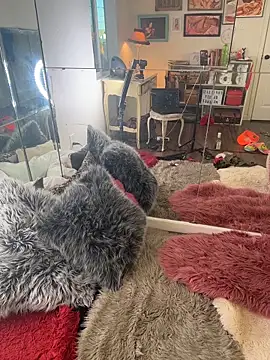 Snapshot of I_am_babydoll chatting on 03.04.26 I am babydoll online show from 03.04.26