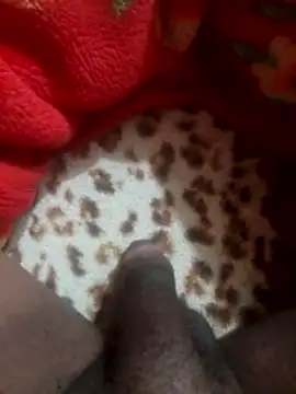 mhmia online show from 01.12.26