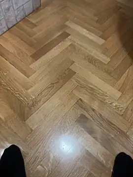 nejdb online show from 02.21.26