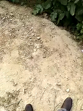 xmanrawan2 online show from 01.30.25