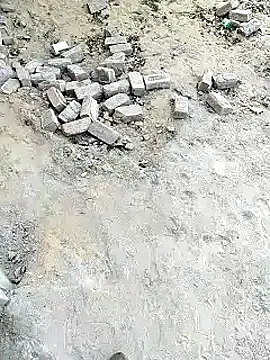 xmanrawan2 online show from 02.01.25