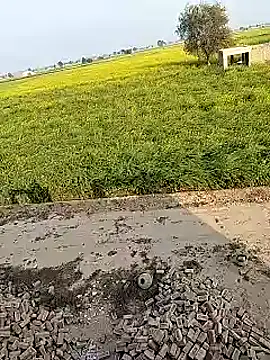 xmanrawan2 online show from 02.02.25