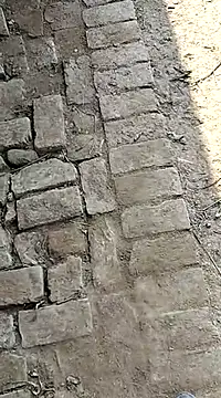 xmanrawan2 online show from 02.03.25