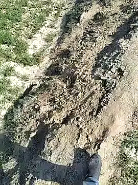 xmanrawan2 online show from 02.04.25