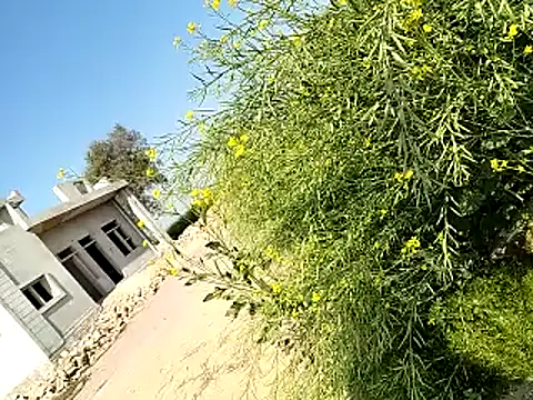 xmanrawan2 online show from 02.06.25