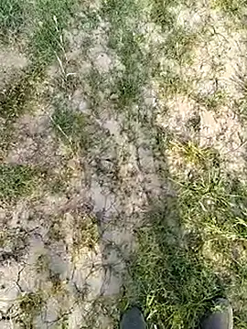 xmanrawan2 online show from 03.14.25